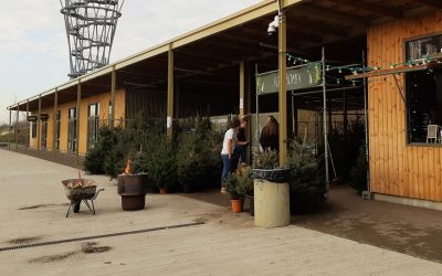 Kerstbomenverkoop in Spoorpark weer van start!